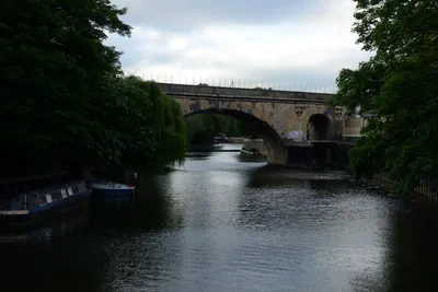 DSC_2704 (Large).JPG